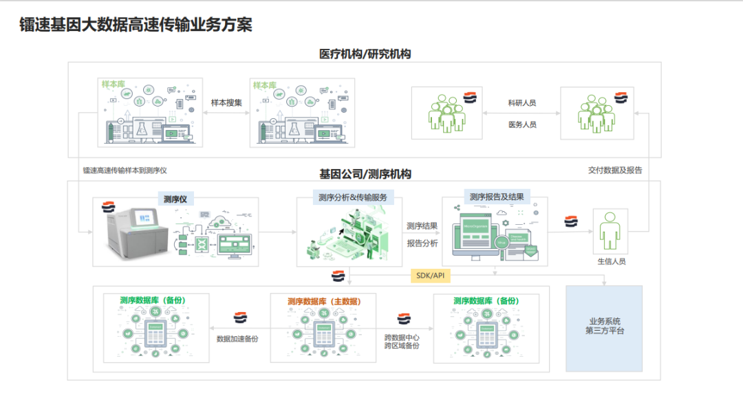 如何解决基因行业海量数据传输难题？镭速传输给出答案