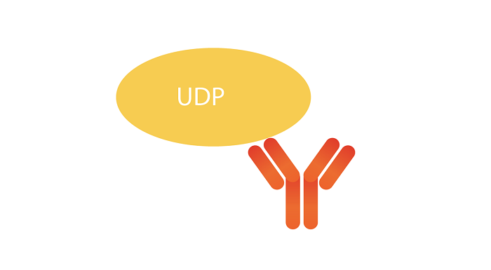 UDP大数据传输：多线程和负载均衡的优化方法